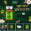 Tế bào gốc trị sẹo GSC+ GA Anti Ageing Ampoule, 1 lọ 8ml Thành phần chứa trong tế bào gốc GSC+ trị sẹo,