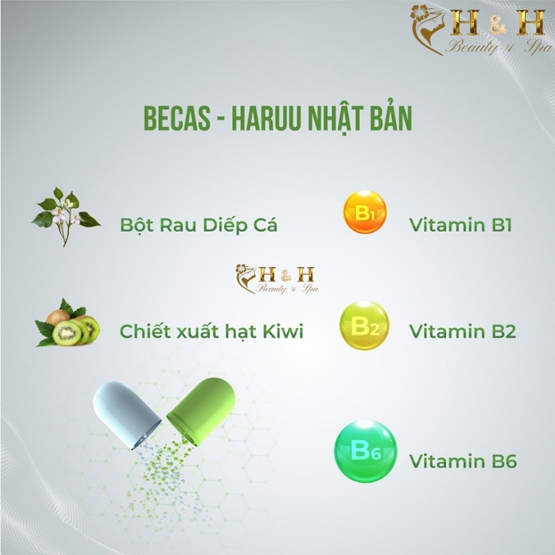 Viên uống giảm mụn nội tiết Haru Becus Nhật Bản hộp 60 viên Thành phần chính trong Haru Becus